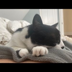 Meet your Posher, Mario